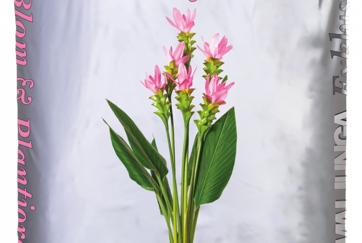 Exklusiv blom och plantjord från emmaljunga 50 liter