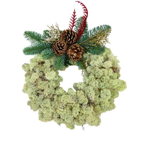 Gravkrans med fönsterlav